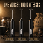 Mousseur à lait portable